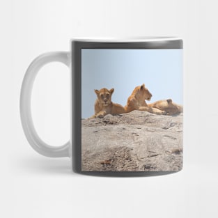 African Lions, Serengeti, Tanzania Mug